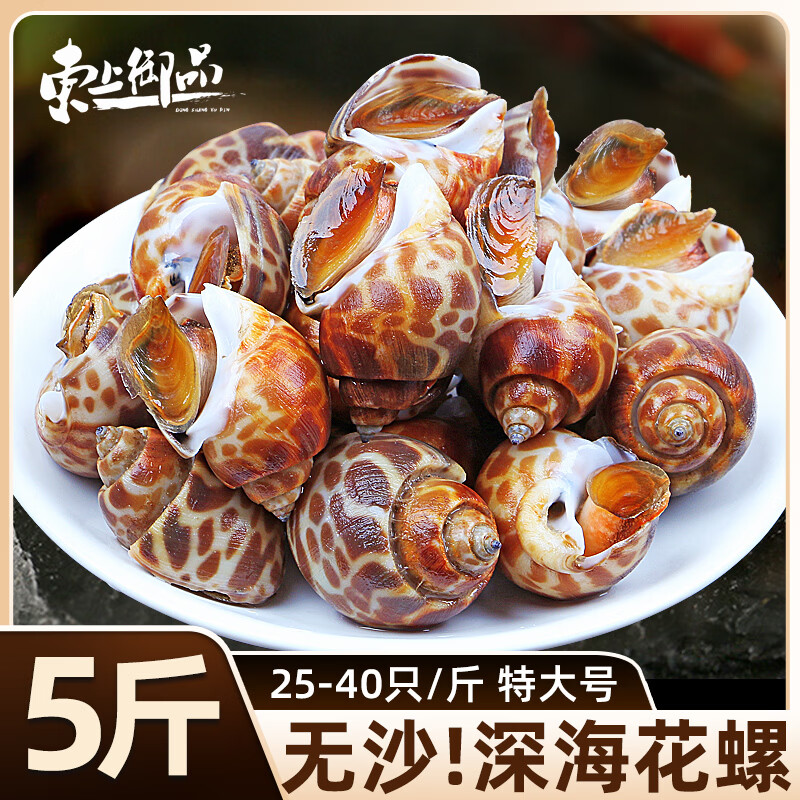 东上御品花螺鲜活新鲜海螺特大号海鲜水产鲜冻风螺贝类 2000g