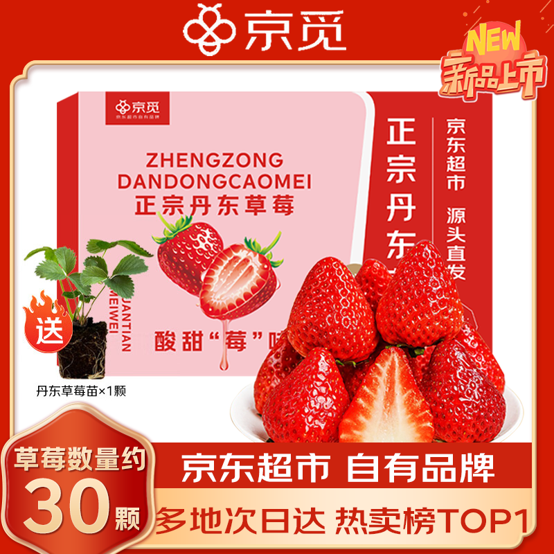 京觅 丹东草莓99红颜奶油水果礼盒生鲜 净重1斤装单果15g+源头直发