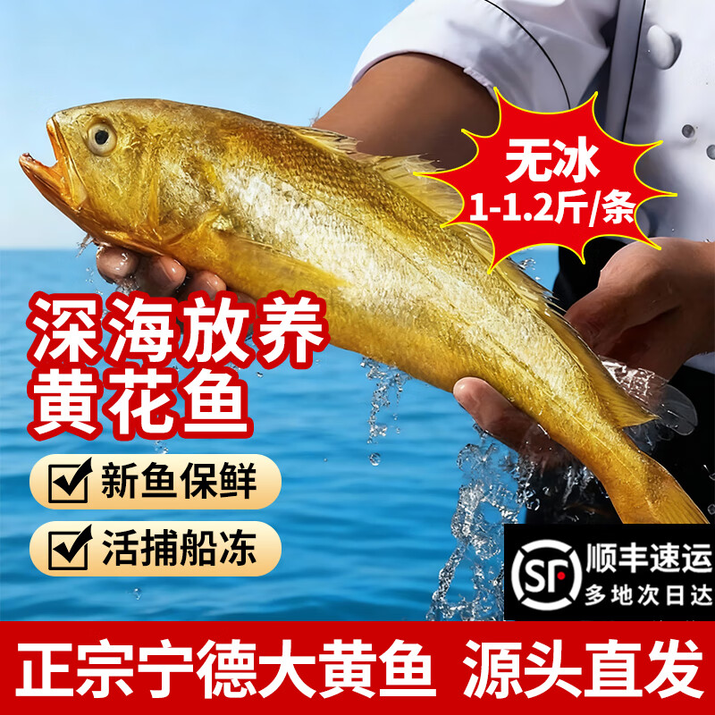 ���ڲ�������ζ�����»ƻ���������л�������ʻ��䶳���ʺ����������ˮ�� ��ީ���Լ۱ȡ������ 2�� ���װ������1-1.2��/���� 73.8Ԫ