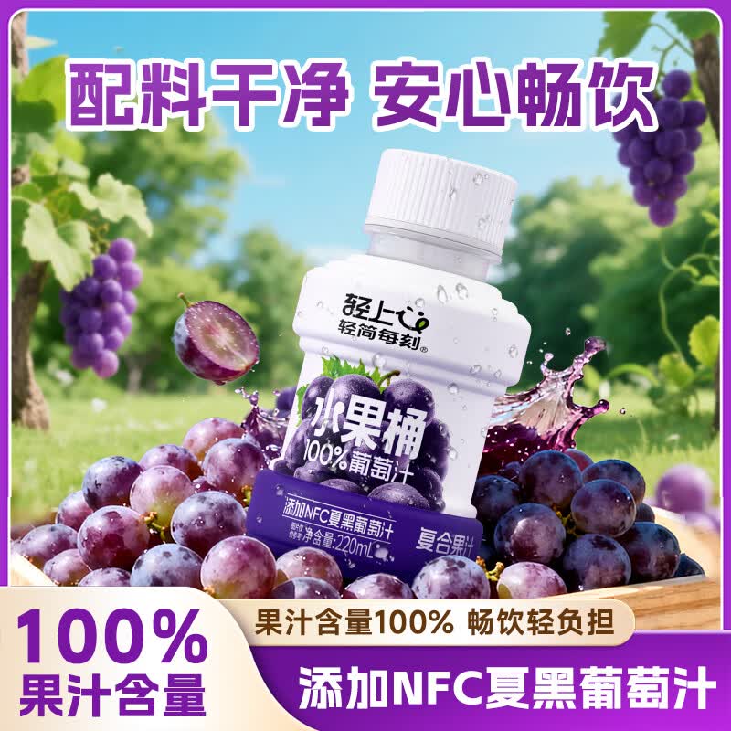 轻上果汁含量饮料橙汁苹果汁葡萄汁果汁饮品年货饮料送礼礼盒 100%果汁含量葡萄汁220ml*10瓶