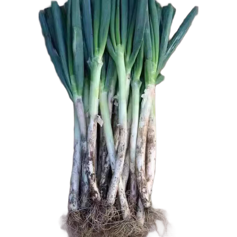 ���ʴ�Ƥũ������ë�����˳��״� ���������ַ� ���װ ����4.5��+ 7.4Ԫ