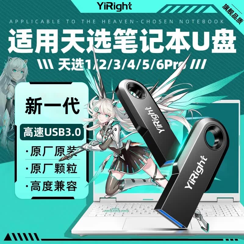 YiRight优盘适用于天选6Pro笔记本u盘天选5Pro/2/3/4/飞行堡垒/无畏通用USB3.0高速大容量大学生专用U盘 笔记本电脑专用U盘(USB3.0) 256GB 【笔记本电脑专用U盘】 京东折扣/优惠券