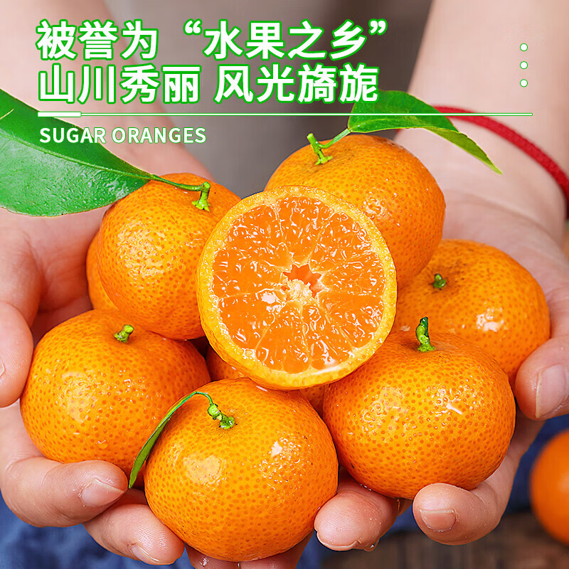 东鲜丰广西砂糖橘整箱沙糖桔橘子水果桔子新鲜时令水果 净重4.5斤精品果【手工甄选】