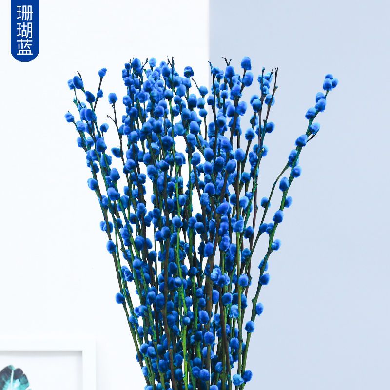 润华年银柳干花真花鲜枝水培植物红色银柳年宵花卉福桶客厅室内装饰 珊瑚蓝色：愿望成真 60厘米30支-送灯笼装饰