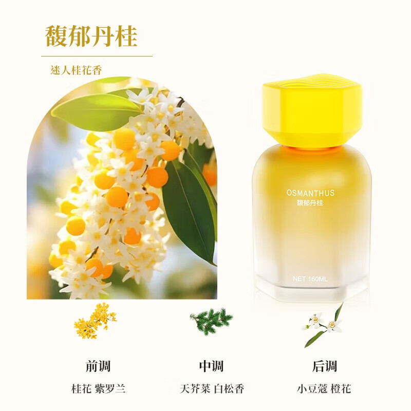 塔罗【优选直发】车载香薰感车载香水家用汽车玻璃香薰装饰摆件车内家 【阳光】邂逅