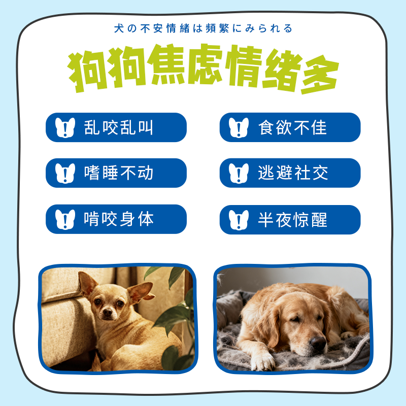 DHC Kitty&Doggy狗狗情绪舒缓片预防应激缓解情绪宠物犬用安抚焦虑情绪 【预防应激】18g丨约60片