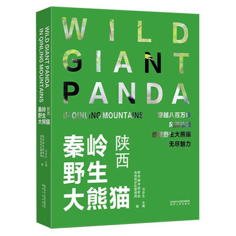 秦岭野生大熊猫陕西