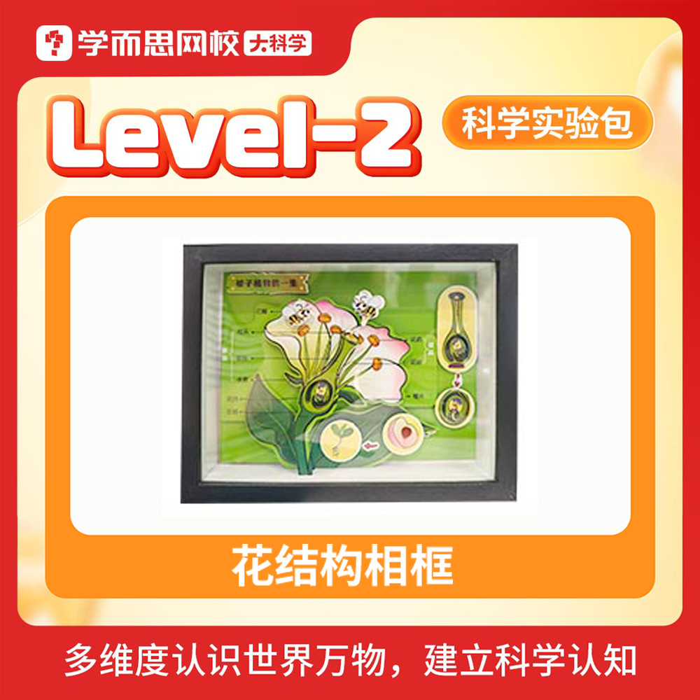 学而思大科学实验教具包 1-6年级专属难度diy提升专注力动手能力发明创造STEAM玩具建立科学认知益智-KXWX 花结构相框