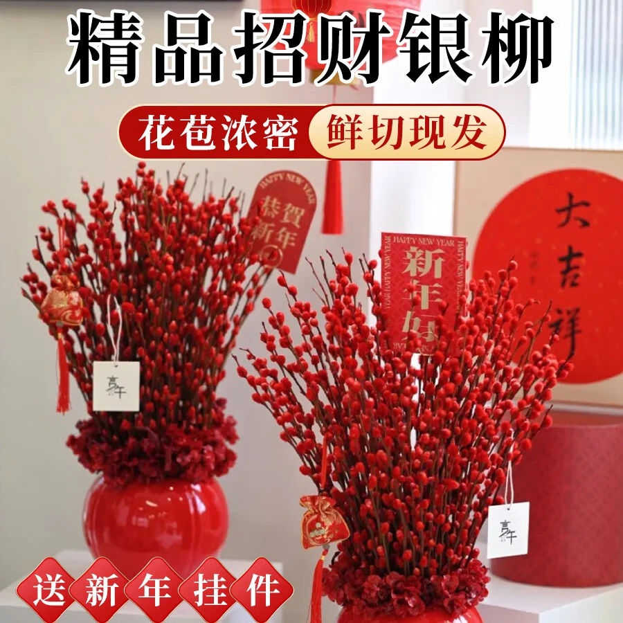 爱你一万年银柳真花鲜枝客厅抱抱福桶装饰摆件干花红色2025过新年宵花卉盆栽 银柳45cm30支(福桶12口径+4灯笼+10挂件