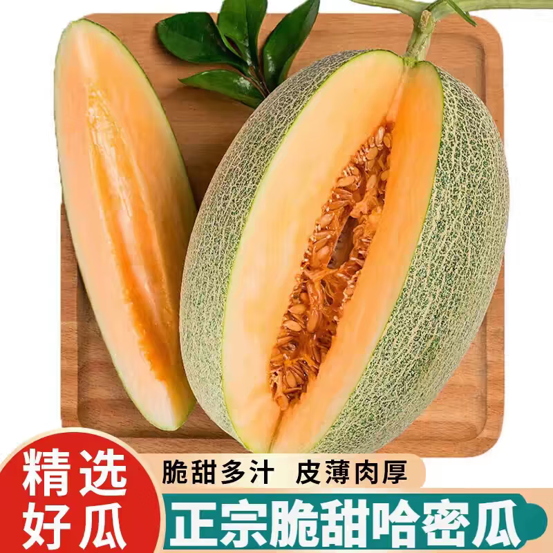 薏品甄鲜海南哈密瓜 新鲜当季水果整箱 西州蜜25号 脆甜蜜瓜 净重4.5-5斤