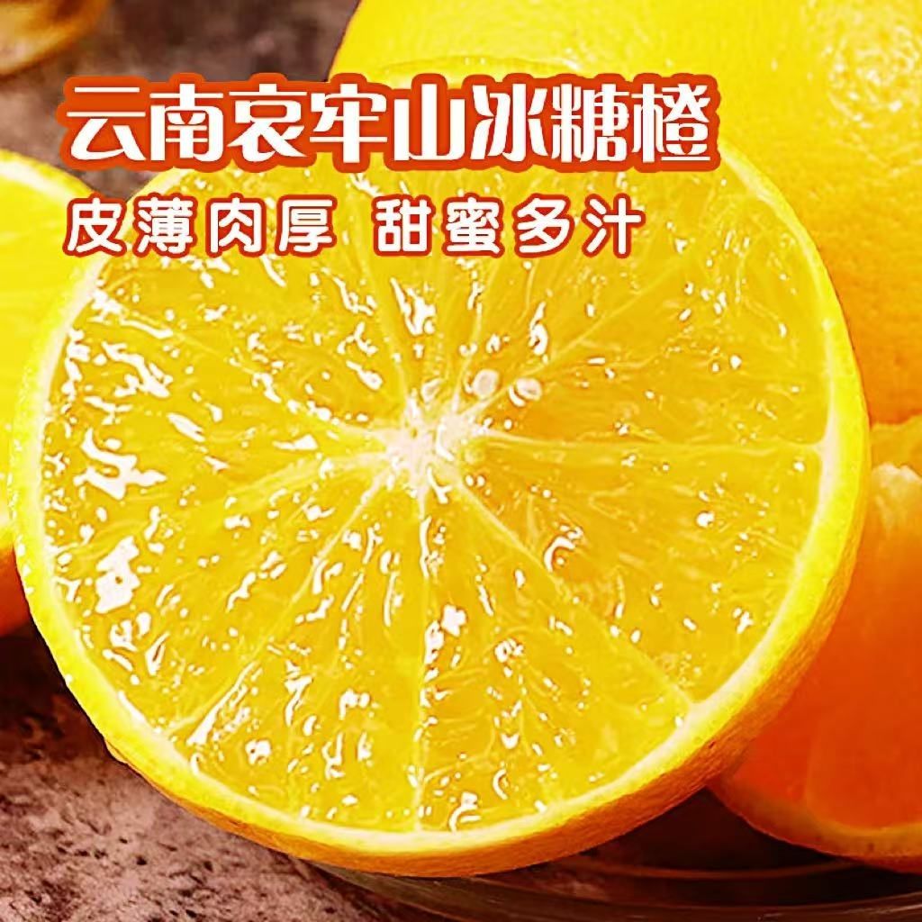 Ӿѡϰɽǳ ˮʳӱǳ ѡɽǳ 570-75mmش 23.5Ԫ