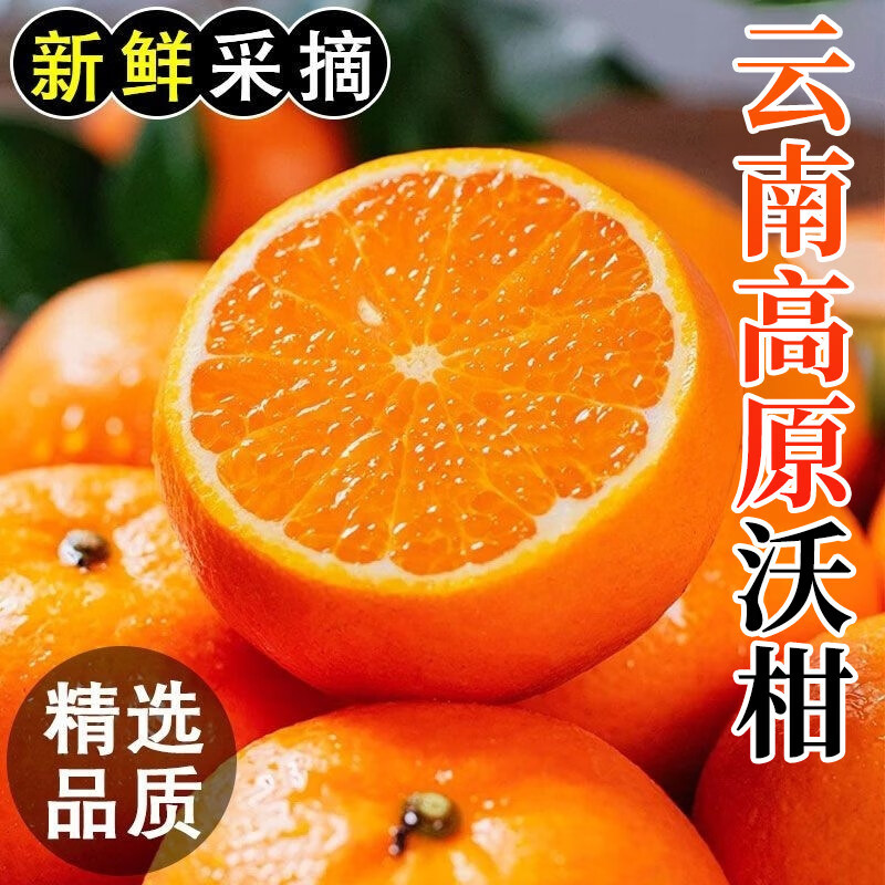 云南头茬沃柑新鲜香甜孕妇儿童水果【源头直采】桔子当季皮薄多汁 5斤严选果【香甜多汁】单果70mm+净重4.5