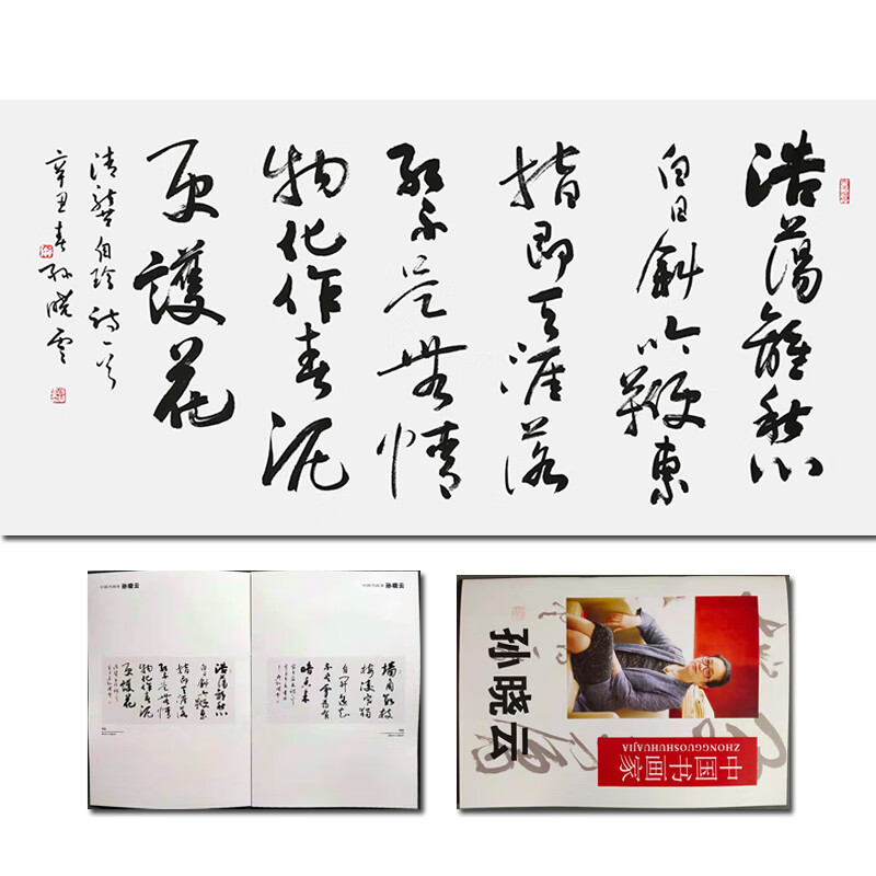 孙晓云《龚自珍诗》名人手绘书法真迹字画拍卖收藏书画山水画客厅装饰