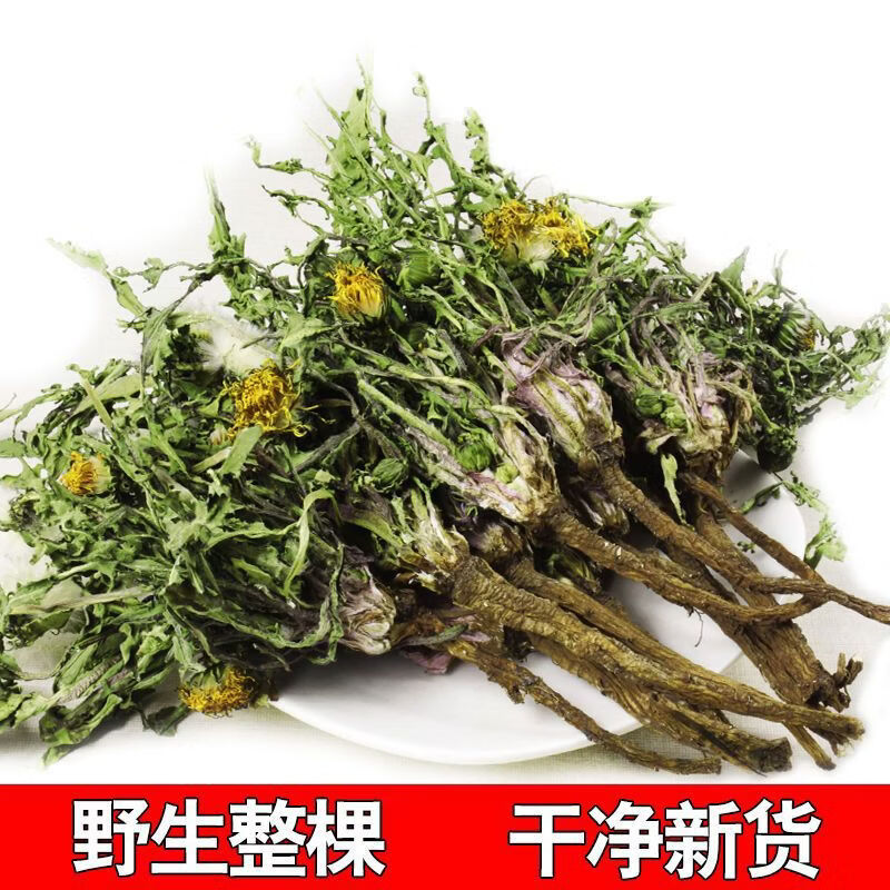 芮哲野生蒲公英茶泡水喝特天然干的级纯整棵株带老根儿中草药材新 100g带根加叶花
