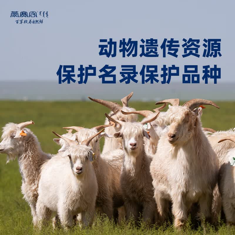 蒙赛含 阿尔巴斯山羊肉 原切羯羊带骨肉块1kg 羊汤骨煲 生鲜羊肉手抓肉 2斤