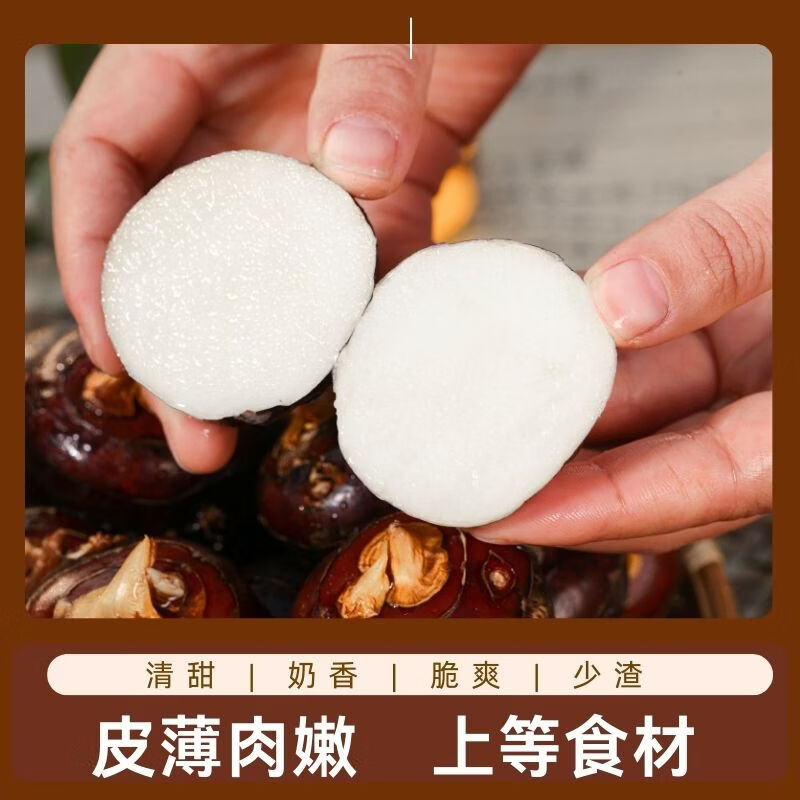荔浦马蹄广西荸荠地梨脆甜多汁现挖带泥保鲜当季水果蔬菜 优质大果 净重5斤(100-115）