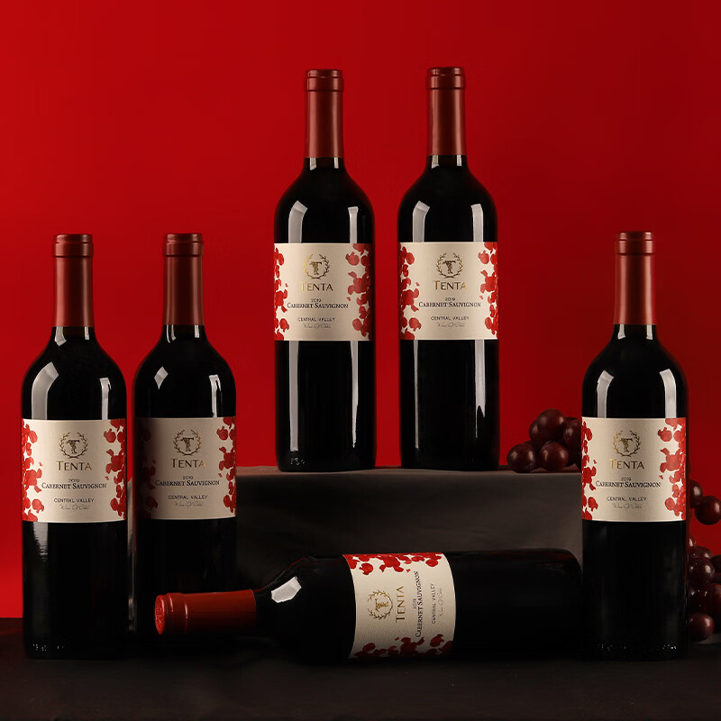 天帕（TENPA）智利中央山谷原瓶进口 赤霞珠干红葡萄酒品种级红酒 750ml13.5度 整箱6支