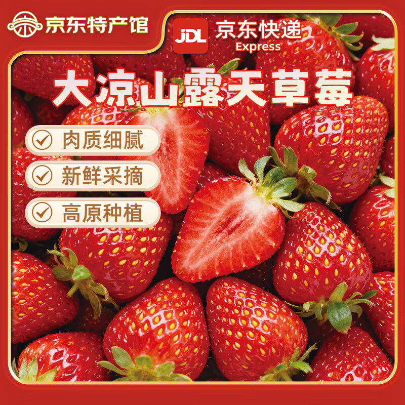 大凉山露天甜草莓新鲜草莓鲜果现摘现发露天种植更健康德昌冬草莓 大果单果15-18g：净重3斤