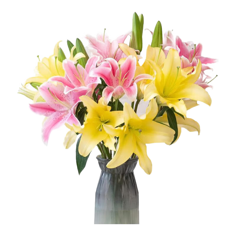 ��ˮ�ٺ��ʻ������ʻ�ֱ������ˮ���廨ĸ�׽����˽���������װ�� �����ˮ�ٺϻ�ɫ6�� ���ʰٺ�