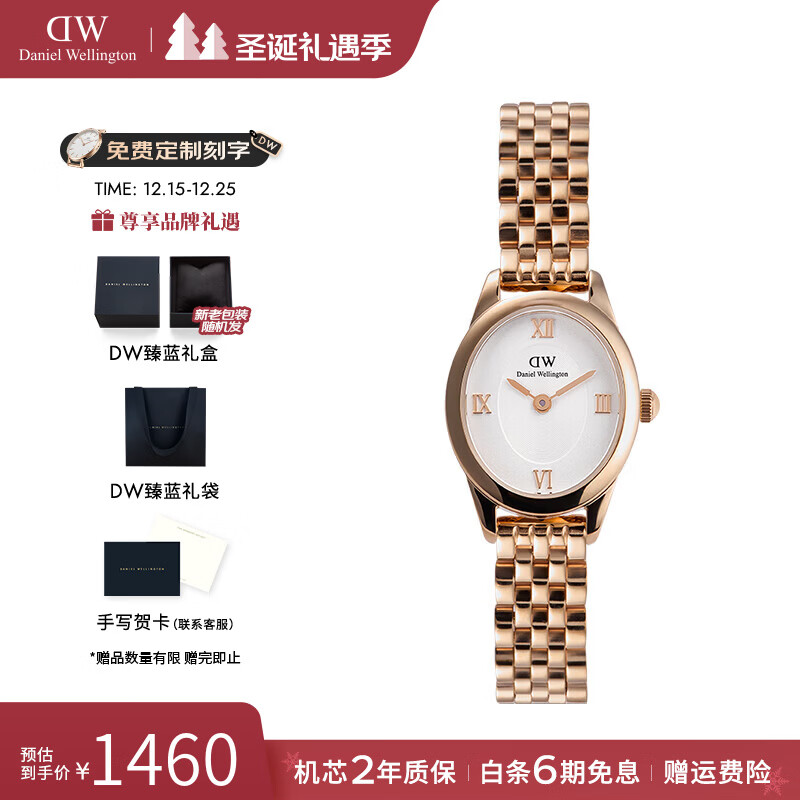 丹尼尔惠灵顿沈月同款DW手表女复古椭圆表女士石英手表欧美腕表七夕礼物送女友 冰川白椭圆表RG 25.5*22MM