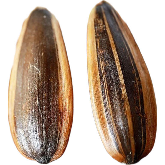 ������ѡ ����ζ���� ��Ƥ������� 400g*3�� ���ϰ�װ��� 13.9Ԫ(����ȯ ��4.63Ԫ/��)