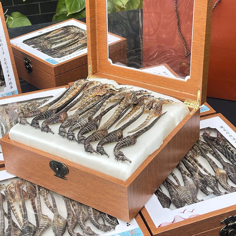 春节礼盒 海马干 礼盒 正品溯源男性补营养煲汤材料泡药酒药材 约(2-3克/条) 50g*1盒