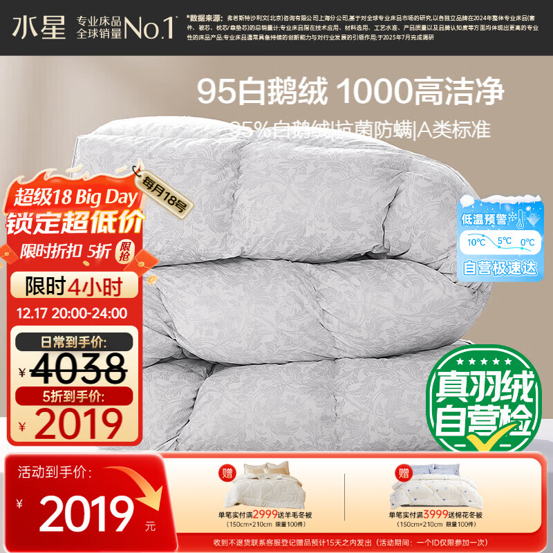 水星家纺羽绒被95%白鹅绒被子冬季加厚冬被芯双人羽绒被200cm×230cm1000g