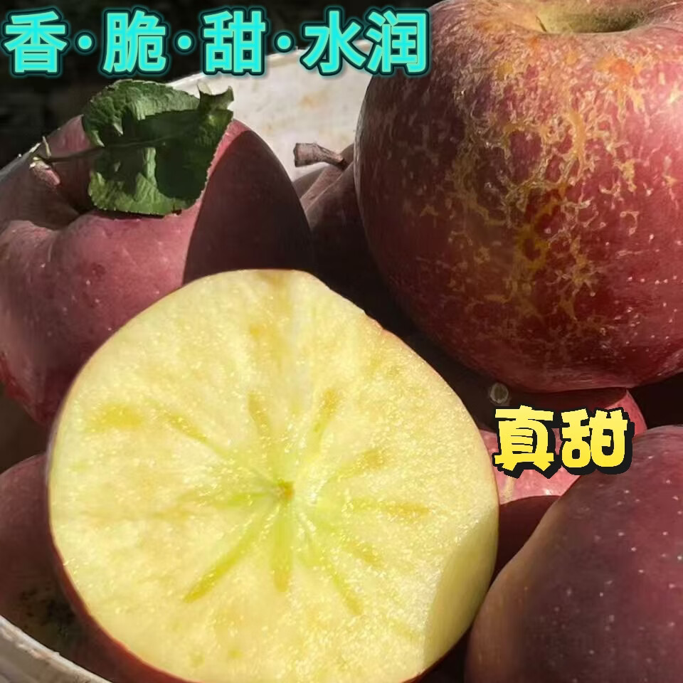 正宗昭通丑苹果冰糖心冬季水果 特大果15-18个 净重9斤