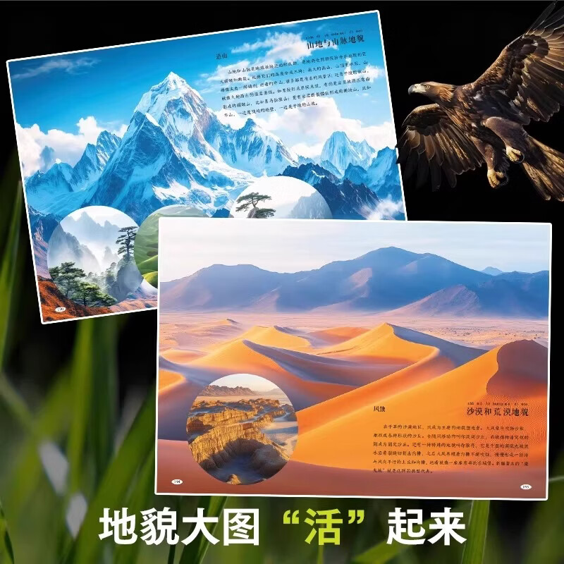 万物大视界自然百科全书儿童纸上纪录片一整本的高清大图 给孩子的视觉盛宴 少儿科普绘本百科全书课外小植物绘本漫画官方正版书籍 【加厚版】万物大视界自然百科（全彩印刷/超清大图）