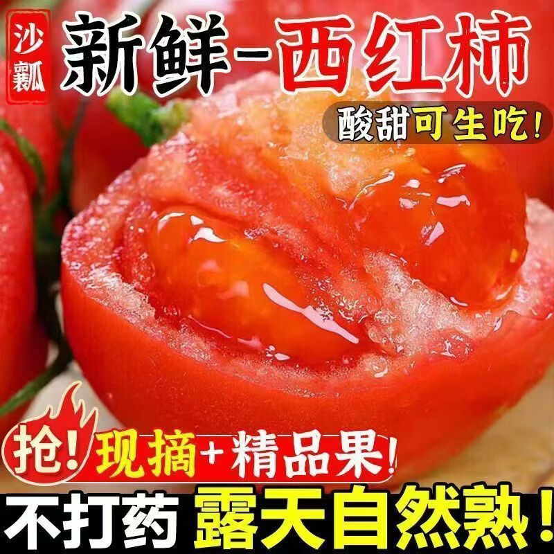 【产地直发】山东现摘西红柿 新鲜番茄香甜爆汁孕妇水果蔬菜整箱 5斤带箱 净重 4.5斤 单果70g+