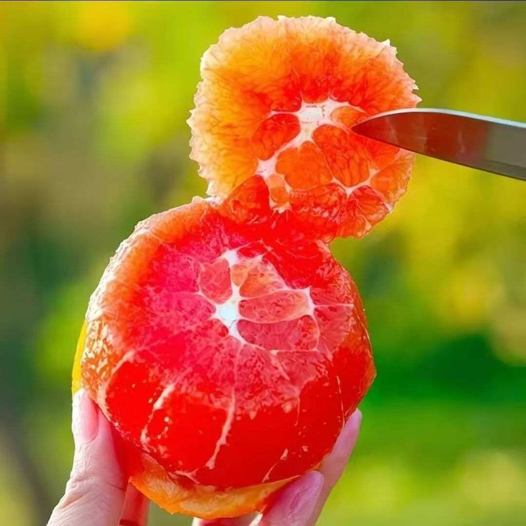 丑禾中华红橙血橙新鲜橙子秭归柑橘甜桔子手剥橙时令生鲜【多仓发货】 中华红血橙【酸甜汁多更多人选择】 8.5斤严选【单果150g起】