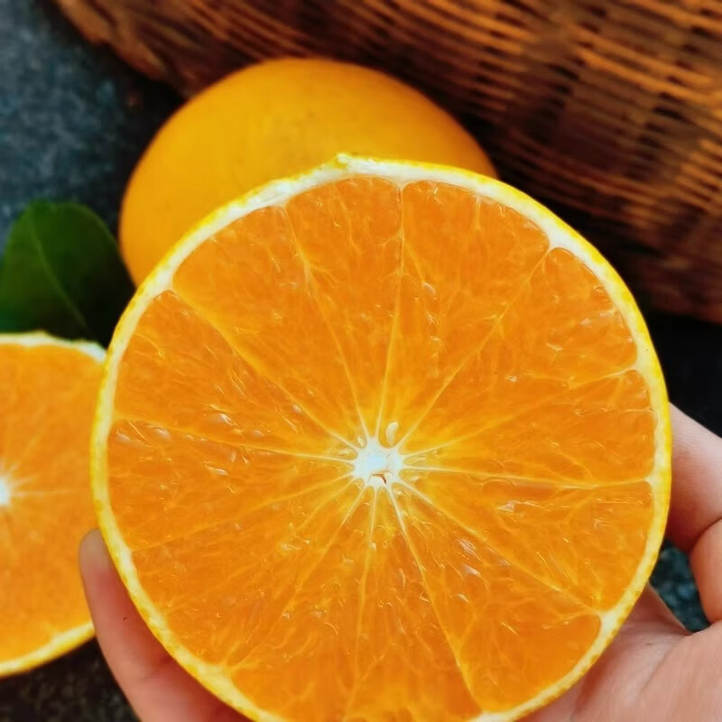 绿熊庄园正宗阳光一号桔柚水果薄皮纯甜化渣无籽当季新鲜孕妇水果整箱送礼 【小果净重5斤】单果150g+ 到15-17枚