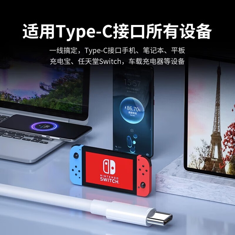 远古纪元2米1米双typec快充线数据线iPhone16手机ipad笔记本PD苹果华为充电线 2.0米双typec快充线