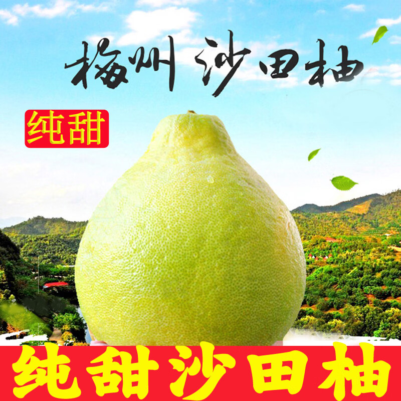 柚满园【纯甜不酸】梅州沙田柚子南福金柚正宗甜碌柚新鲜水果广东梅县 大果3-5个带箱9-10斤