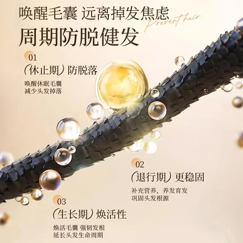 青幽堂苗坚防脱洗发水强韧育丰盈发际线洗发露控蓬松不油腻男女青幽棠 【78/瓶 推荐选择】洗发水2瓶装