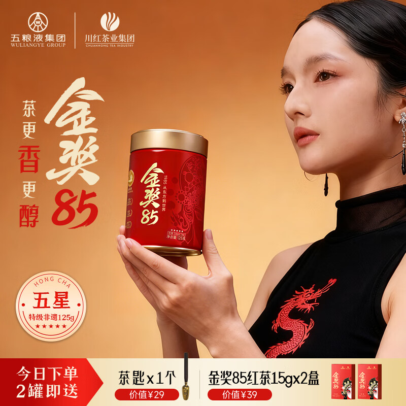 川红 红茶茶叶四川特产橘糖非遗浓香型高山云雾茶浓香耐泡 金奖85红茶特级五星125g