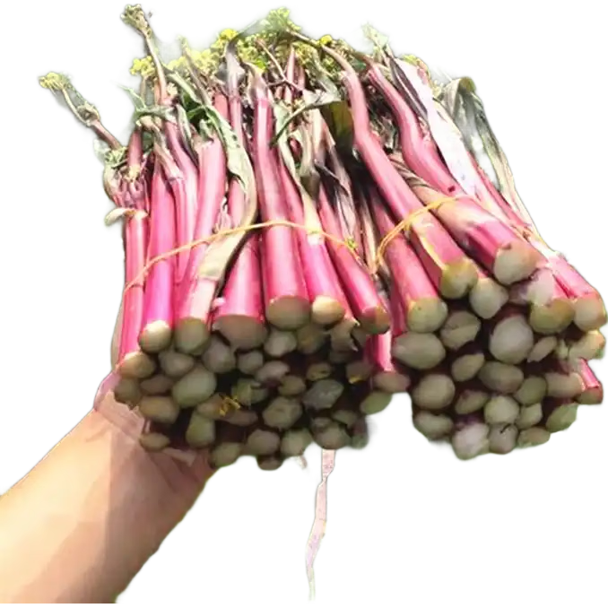 ˪���ũ�����ֺ��̦�ϲ�̦���� �����߲� ��ĭ�䷢�� ����5�� 13.19Ԫ(����ȯ)