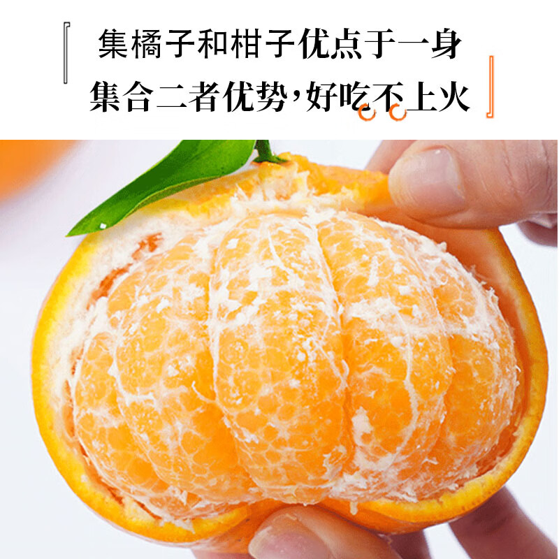 馋果野正宗四川春见耙耙柑甘平柑橘新鲜水果生鲜整箱过节送礼水果礼盒 果王带箱9斤/彩箱装