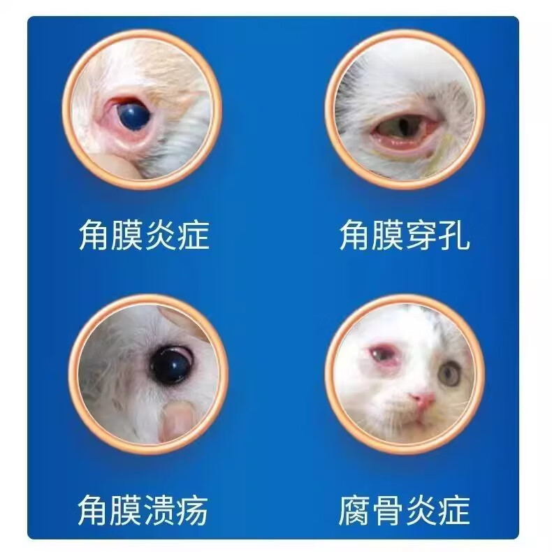 OLEOYOPTISHIELD环孢素眼液膏宠物复发性结膜炎消炎眼药水干眼症角膜炎 【京东快递】OPTISHIELD环孢素眼液5ml