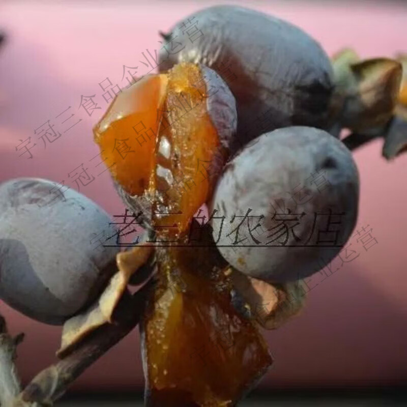 沂蒙量籽新鲜无核黑枣柿枣无核软枣黑枣小柿子黑枣圆枣 202g*1袋 沂蒙山特产店出品无干燥剂