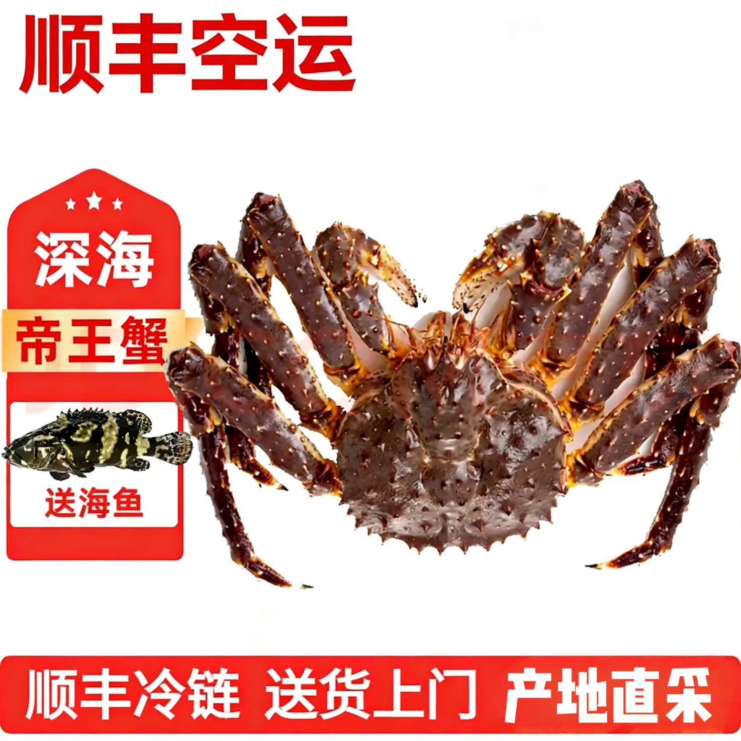 【活鲜】鲜活帝王蟹帝皇蟹俄罗斯大螃蟹阿拉斯加海鲜水产年货送礼 3- 4斤 /只(鲜活发货)