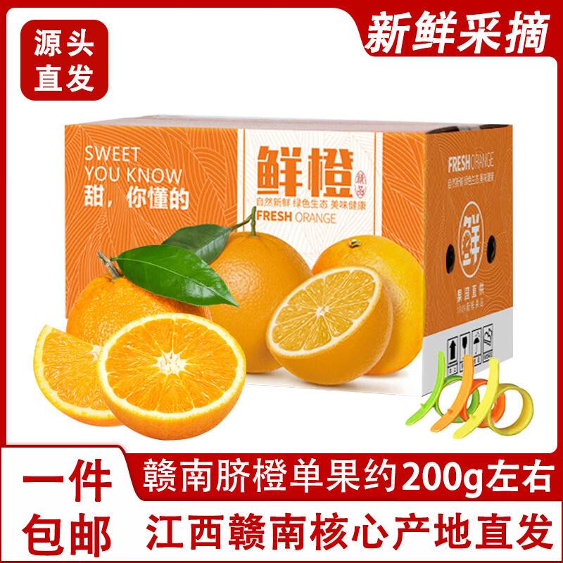 赣南脐橙正宗江西赣南脐橙新鲜橙子当季水果手剥果冻橙子冰糖甜橙整箱包邮 带箱5斤【果径60-70mm】