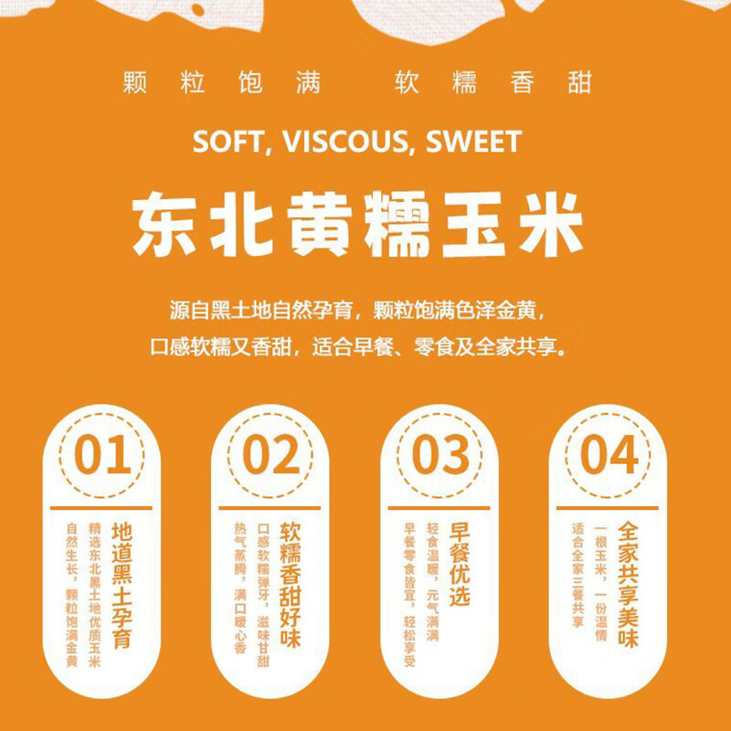 汤泉一品东北玉米新鲜糯玉米精品大棒东北甜糯玉米棒真空玉米轻食苞米棒子 东北黄糯玉米260-350*8根(铝箔袋、透明袋混发)