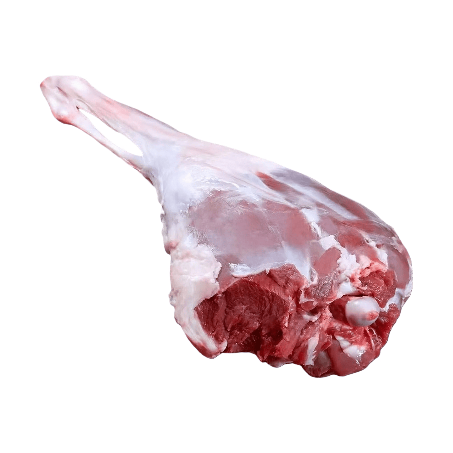 LZJV宁夏滩羊现宰整只白条散养乳羔羊烤全羊原产地直发顺丰包邮到家 滩羊 羊小腿6斤