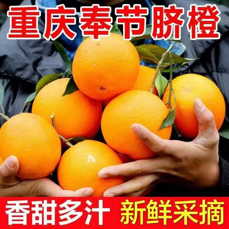 重庆奉节脐橙整箱新鲜当季正宗橙子生鲜纽荷尔橙子可榨汁手剥脐橙 净重5斤【单果70mm+】推荐
