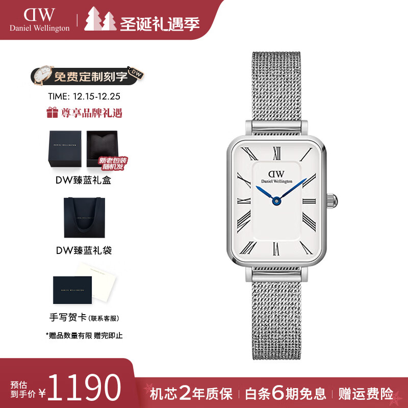 丹尼尔惠灵顿（DanielWellington）DW手表女小蓝针复古方表女士手表欧美腕表 七夕情人节礼物送女友 DW00