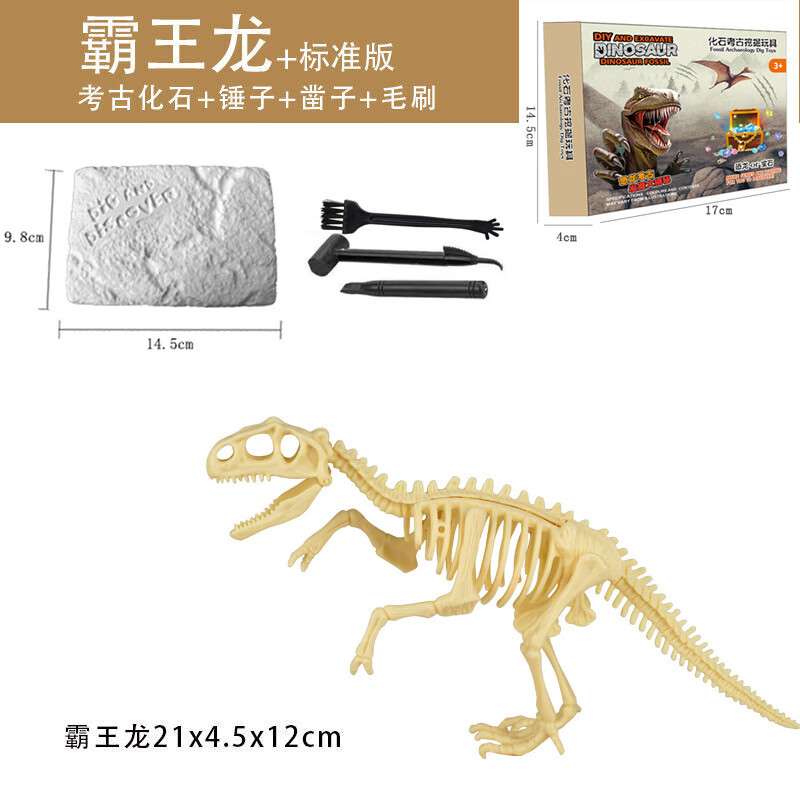 【好物优选】恐龙化石考古挖掘儿童玩具挖土盲盒霸王龙骨架模型三 彩盒装霸王龙
