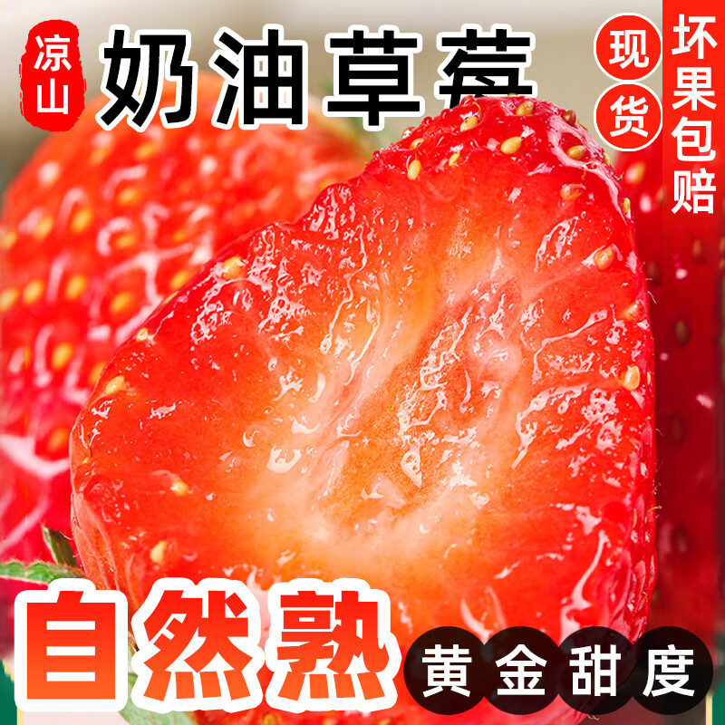 中果农茂丹东草莓【JD/顺丰-多地次日达】新鲜现摘草莓99红颜奶油大草莓 2斤装-【单果10-15g】净重1.8斤-京东快递