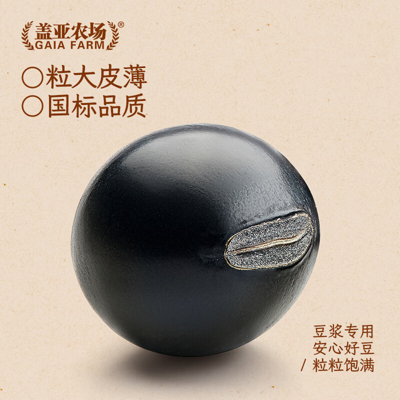 盖亚农场(Gaia Farm) 有机黑豆 五谷杂粮豆 绿芯黑豆可打豆浆 无染色 有机黑豆1kg*1罐