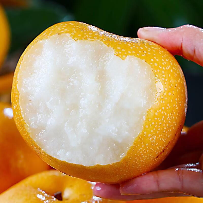 闽域寻鲜山东莱阳羊脂秋月梨应季新鲜水果礼盒送礼现摘冰糖梨子秋月梨 5斤轻享装【净重4.5斤丨约10-12枚】